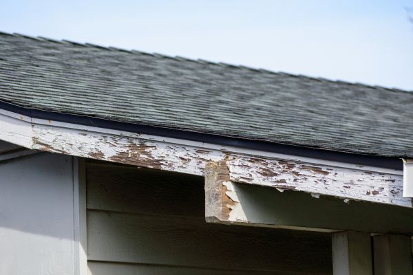 Atlanta Wood Rot Repair