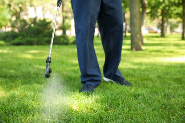 Atlanta Lawn Treatment