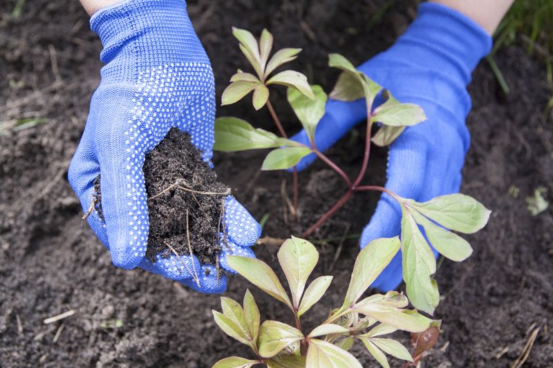 The Best Gardening Gloves